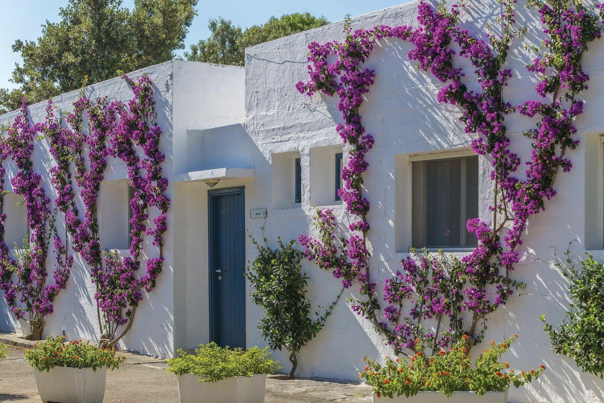 Th Ostuni - Ostuni Village المظهر الخارجي الصورة